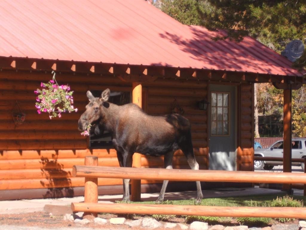 Lone Eagle Lodge Grand Lake Exterior photo